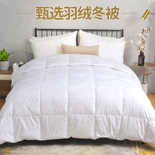 Hotel Pure Cotton Duvet Core Three-Dimensional Warm Hotel B&B Duck down Quilt Autumn and Winter Quilt Core