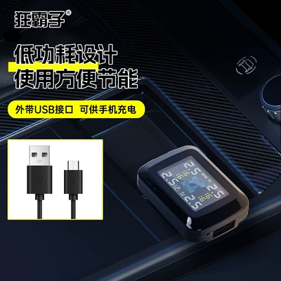 Tire pressure monitoring system External Universal Tire Detection Device