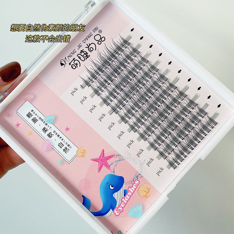 10 행 세그먼트 Deviruchi