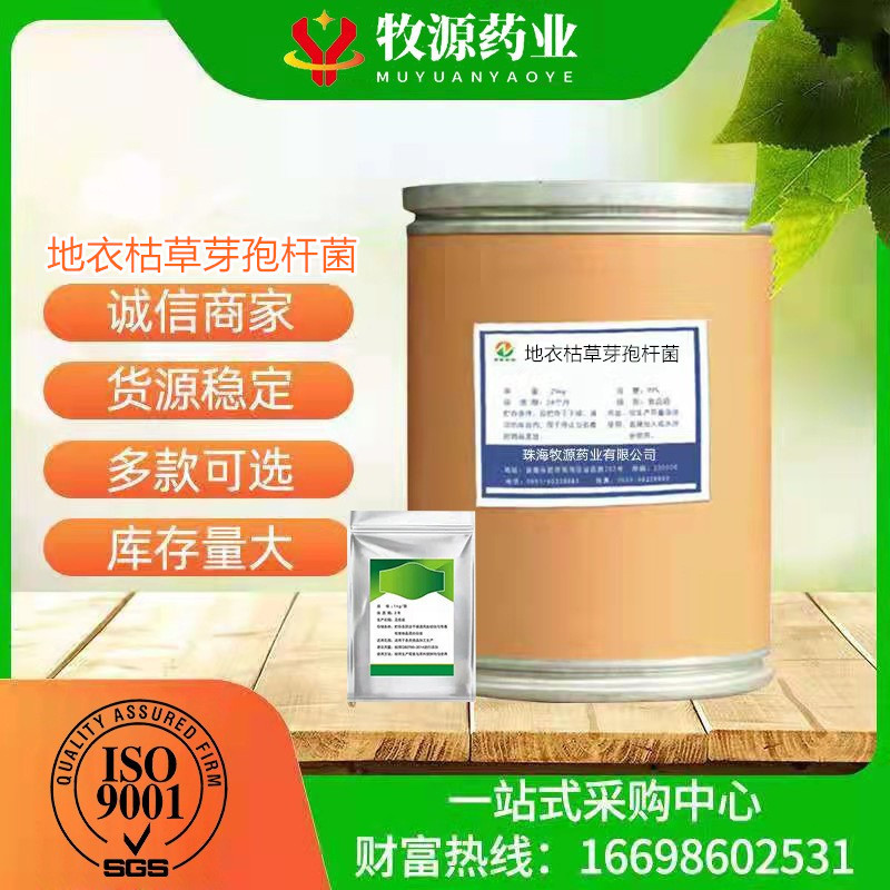 现货供应 地衣枯草芽孢杆菌 水产 地衣枯草芽孢杆菌全水溶 养殖