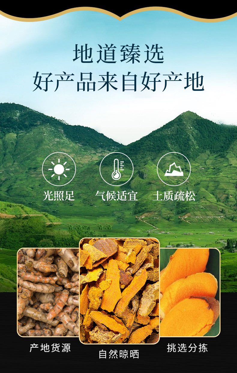 Turmeric Slices (Curcuma longa) — Dried Food-Herb Rhizome for Tea, Soup & Golden Milk overview