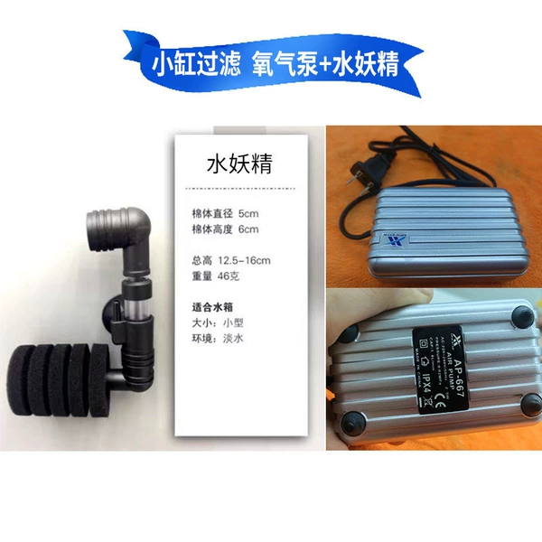 Small cylinder filter oxygen pump+water fairy