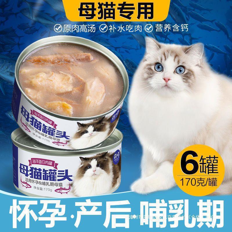 Canned Food for Pregnant Cats, Lactation Nutrition, Postpartum Meal for Pregnant and Postpartum Mothers, Cat Milk Production, Main Food for Cats Canned Food for Pregnant Cats, Lactation Nutrition, Postpartum Meal for Pregnant and Postpartum Mothers, Cat Milk Production, Main Food for Cats