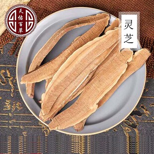 �`֥�L��ɽ��؛�oѬ�`֥��؛500��ɢ�b���l��ș���`֥��Ƭ