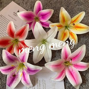 ���滨3d��ӡ�zƬ�ٺϻ��^�����c�^������廨�b����ٻ����l