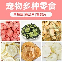 宠物零食用品苹果片山楂圈草莓干兔子龙猫荷兰猪磨牙果干包耐咬