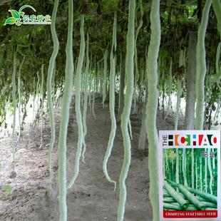 b���L�߶��N���߹ϷN�� �߽z�ϷN�� �^�p��ʳ���߹��N�� �׷N�߮a