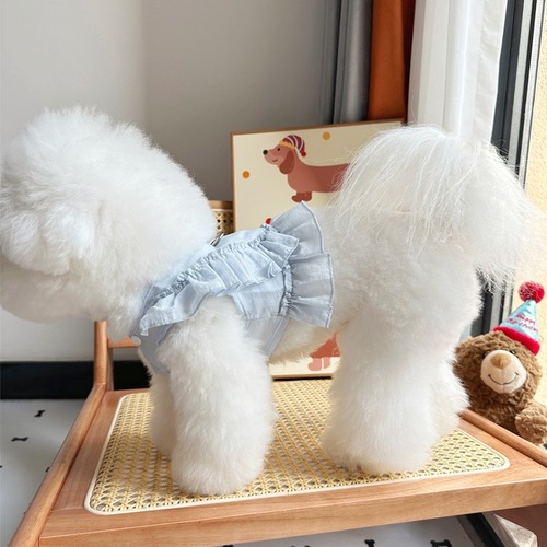 Japanese and Korean ins style pet dog cat clothes Teddy Bichon Bear VIP Yorkshire can pull the chest and back vest