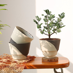 �o�����������մɰ�ɫ�ڰ׽g̥�������������_��ڏ���������