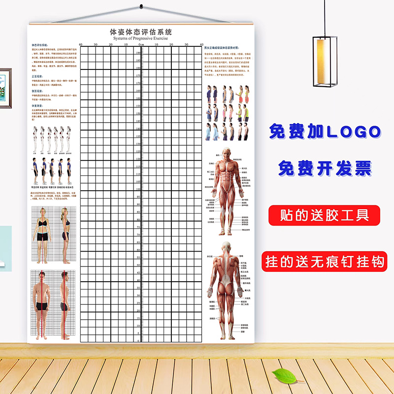 体态评估图健身房体测表青少年瑜伽私教站姿形体脊椎修复身体挂式