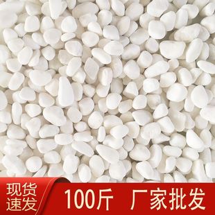 50kg White Pebbles White Stone Landscaping White Pebbles Landscape Courtyard Paving Garden Balcony Decoration