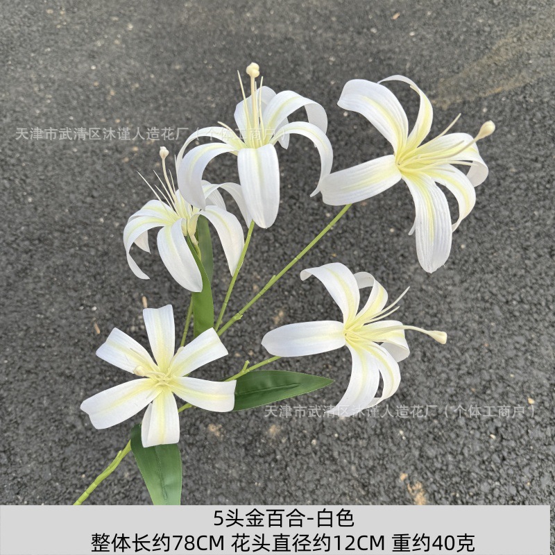 황금 백합