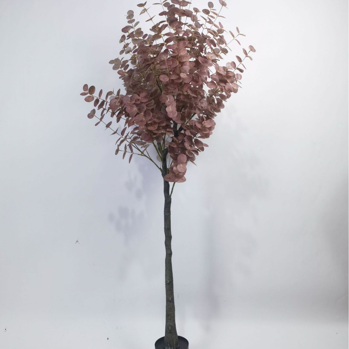 Simulación de estilo de desmontaje transfronterizo Eucalipto en maceta Eucalipto Centro comercial Sala de estar Ventana Decoración de plantas de piso a techo