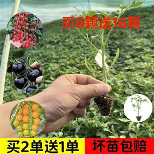 �ڸз������߲������t����������ɳȿˮ�������紺������߮a����