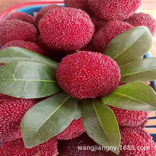 ľͩoї÷|÷޽箔YشϱԹ