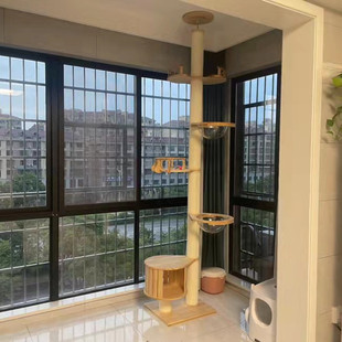 ̫����؈��ͨ����؈���܄���؈ץ���t��̨؈����؈���؈ĥצ