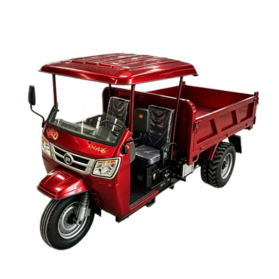 cross-border three-wheeled vehicle, Sərnişin üçtəkərli motosikllar