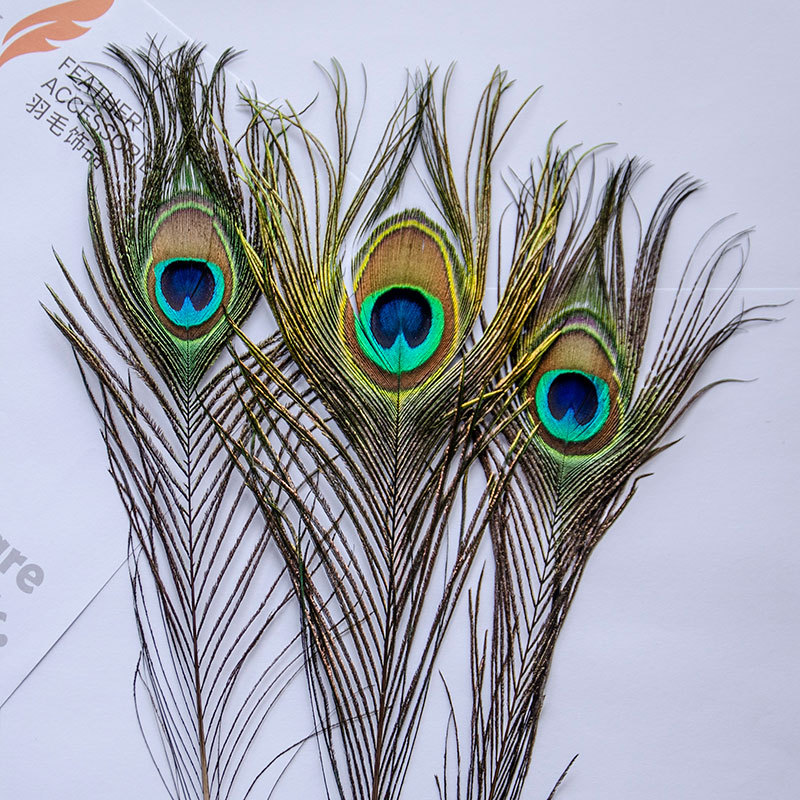 Spot al por mayor lana natural 25-30CM decoración de joyas adornos de plumas de bricolaje tocado de plumas de pavo real terciopelo
