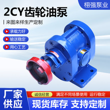2CY齿轮油泵不锈钢齿轮泵增压燃油泵循环抽油泵铸铁齿轮油泵液压