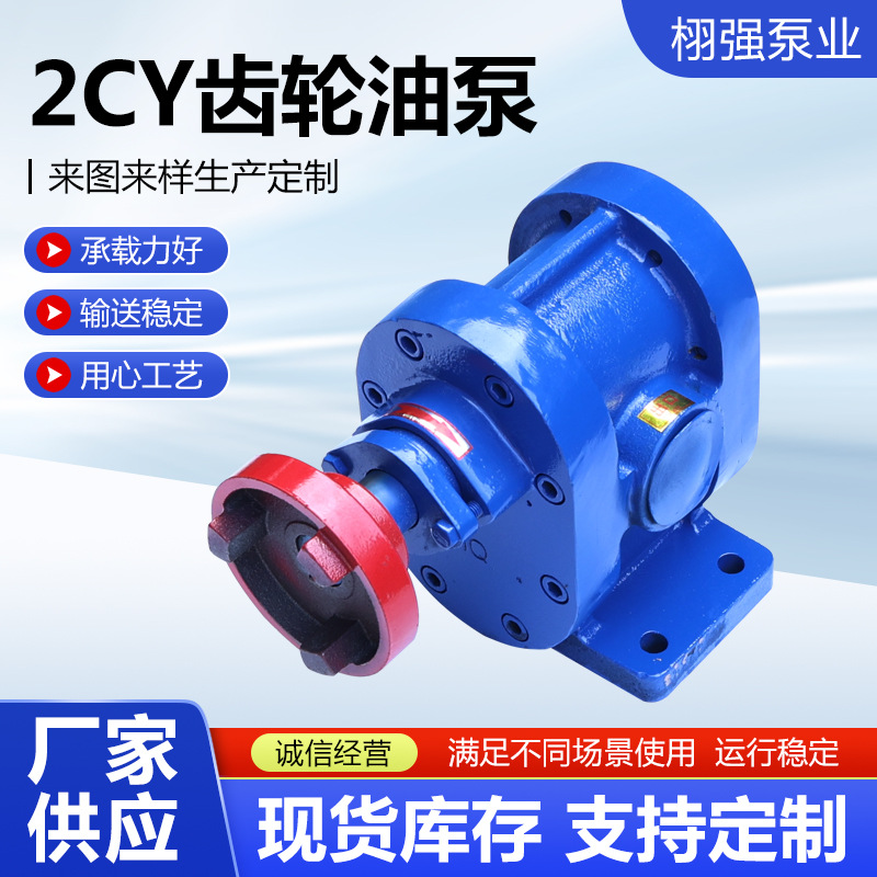 2CY齿轮油泵不锈钢齿轮泵增压燃油泵循环抽油泵铸铁齿轮油泵液压