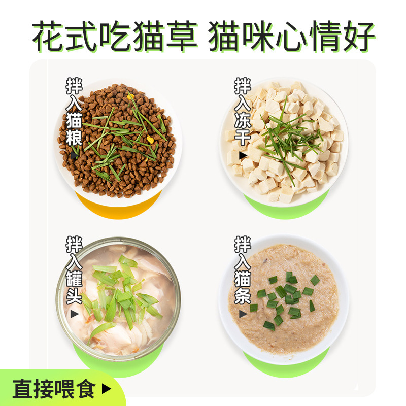 Nueva bola de pelo de hierba de gato de iones negativos Aperitivos para gatos Planta en maceta hidropónica sin suelo Semillas de trigo Mascotas Comida mixta húmeda al por mayor