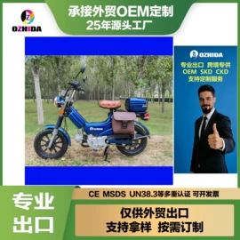 电动自行车;自行车;两轮摩托车