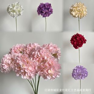 ��Y���滨106Ƭ���`�����黨�����c��׹��T�zӰ��������