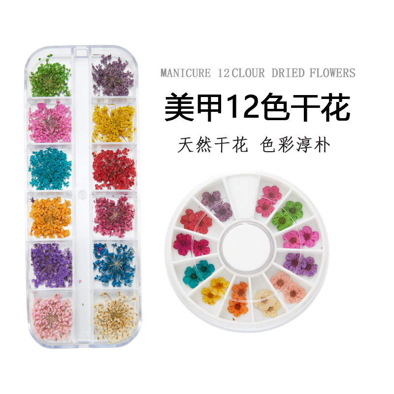 Cross-Border Nail Art Lace Dried Flower Material Pack, Nail Flower 3D Baby's Breath Sunflower 24-Piece Boxed Dried Flower Decorations