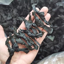 海带结特厚无盐海带头茬海带结干货烘干海带扣凉拌炖汤商用批发