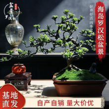 �_�h�ɘ䘶�辰�҃��ֲ̨�ﻨ�ܾGֲ���Ժ��u�tѿ�lؔ�������