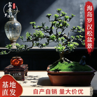 �_�h�ɘ䘶�辰�҃��ֲ̨�ﻨ�ܾGֲ���Ժ��u�tѿ�lؔ�������