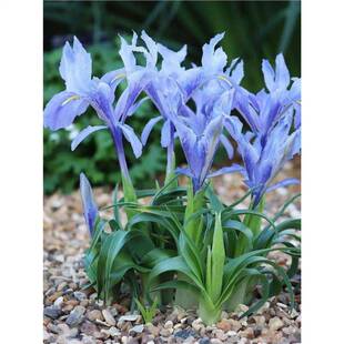 ���Sβ���������҃ȵ���ͥԺ�e�������ļ��_�����������ֲ��