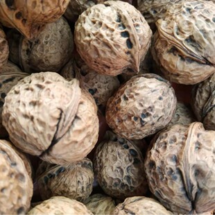 ����خa������娱�Ƥ�r�Һ�������ă���؛ԭζ���ҹ���娺���