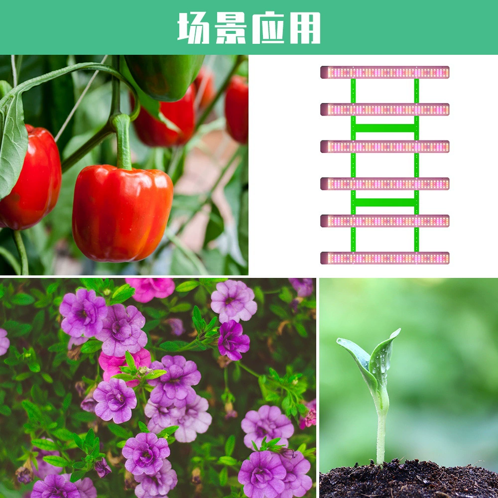 Qianrun LED-лампы, лампа для растений, заполняющий свет, высокая мощность, комфортный спектр света