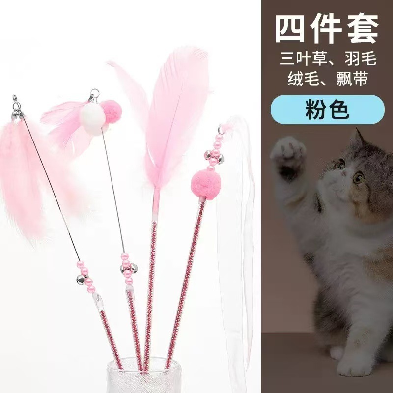 アンドロメダが猫の棒をからかっている猫のおもちゃが交流している|undefined