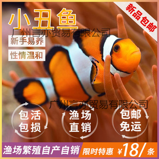 ��ˮ�~�^�p�~С���~��Ī��ˮ���~�˹�����С��׽𮅼����ڱ���