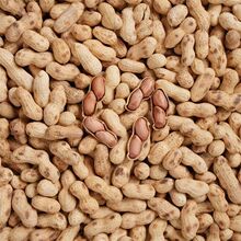 �r����؛��𳴻����F偎���2025��ԭζ����Թ���ʳ�o�������