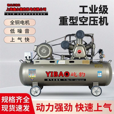 Jaguar Air Compressor 380 Large Air Pump Industrial Grade High Power Air Compressor 220 High Pressure Air Pump Spray Paint