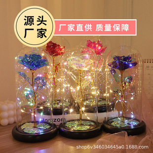 ����õ�廨����������Ϧ���˹��Y��ؔ�����Y�����l�𲭻�����