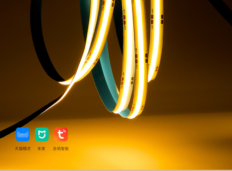 双色灯带详情 (4).jpg