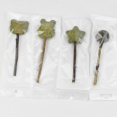 Catnip lollipop cartoon Euonymus cat chew toy cat teaser tooth cleaning cat snack