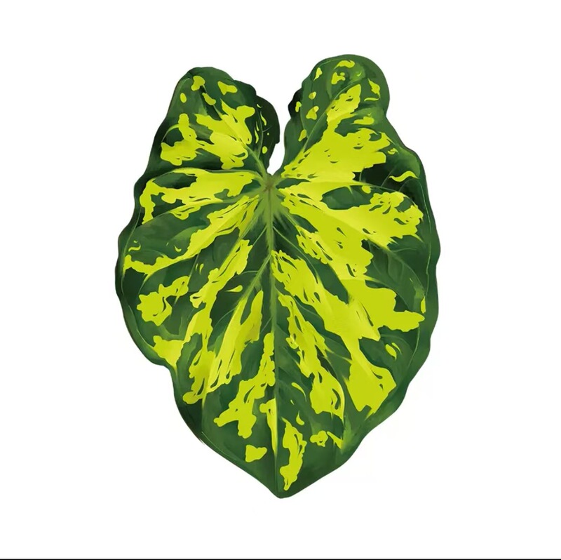 植物の魔法】熱帯の珍しい植物のアイデアの緑の植物の冷蔵庫は緑の植物の装飾の植物のシリーズの冷蔵庫を貼って貼ります。|undefined