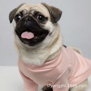 ���۰͸���w��Ę�͸���Ȯ���N�˸�Ȯ����͸���Ȍ�����͹�����