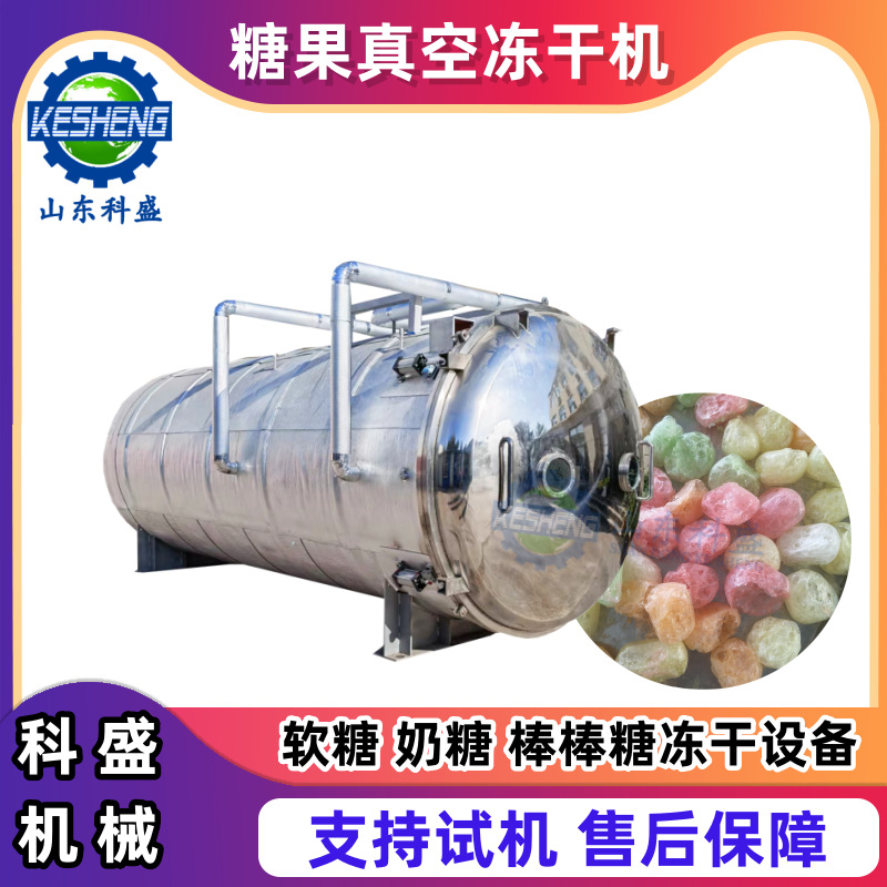 软糖冻干设备 苦瓜片冷冻真空冻干机 米葱香菜胡萝卜块干燥机