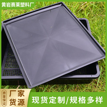 37*30cm����P ��ˮ�P��ˮ�P��  ����P��������ж���ֲ����ˮ�P