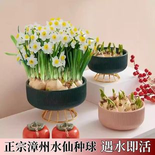 ����ˮ�ɻ��N��ˮ���ͺ������ļ�����������ͥԺ�����̨�҃�ֲ��