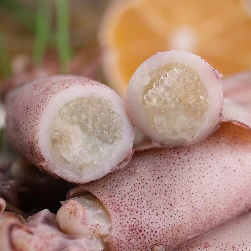 6斤满籽大海兔子新鲜海兔全籽笔管鱼鱿鱼仔海鲜批发1包邮批发包邮