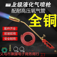 ȫ~ëҺ⇊𘌼ú⇊⇊i