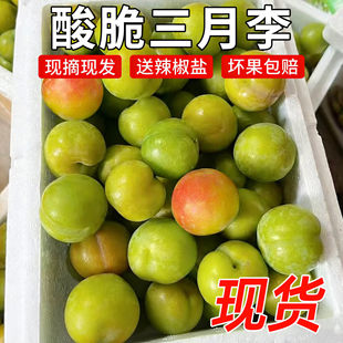 ���r������1/3/5����Ϯ������ˮ���Fժ�F�l�������͸ʲ�����