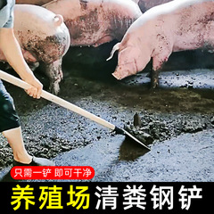 養殖場清糞鏟錳鋼鏟糞雞鴿屎牛豬糞鏟子畜牧清潔農用推刮糞鏟